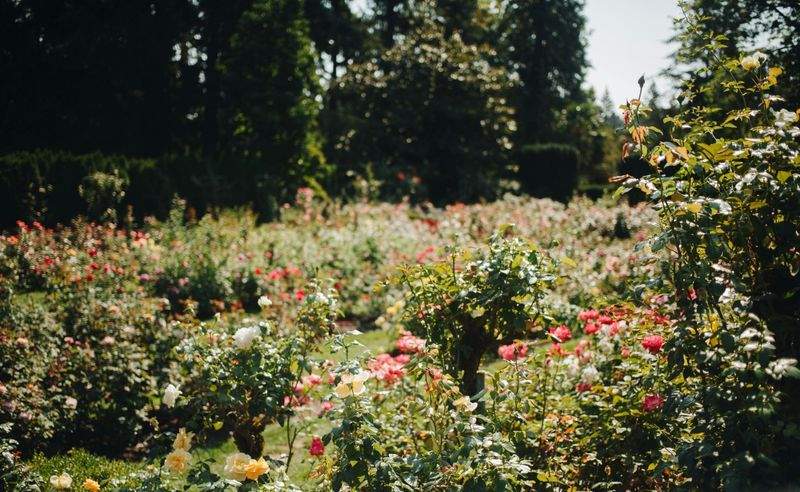 翠景庭園設計株式会社 12