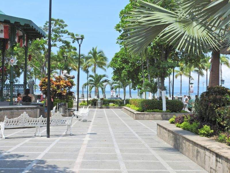 翠景庭園設計株式会社 13