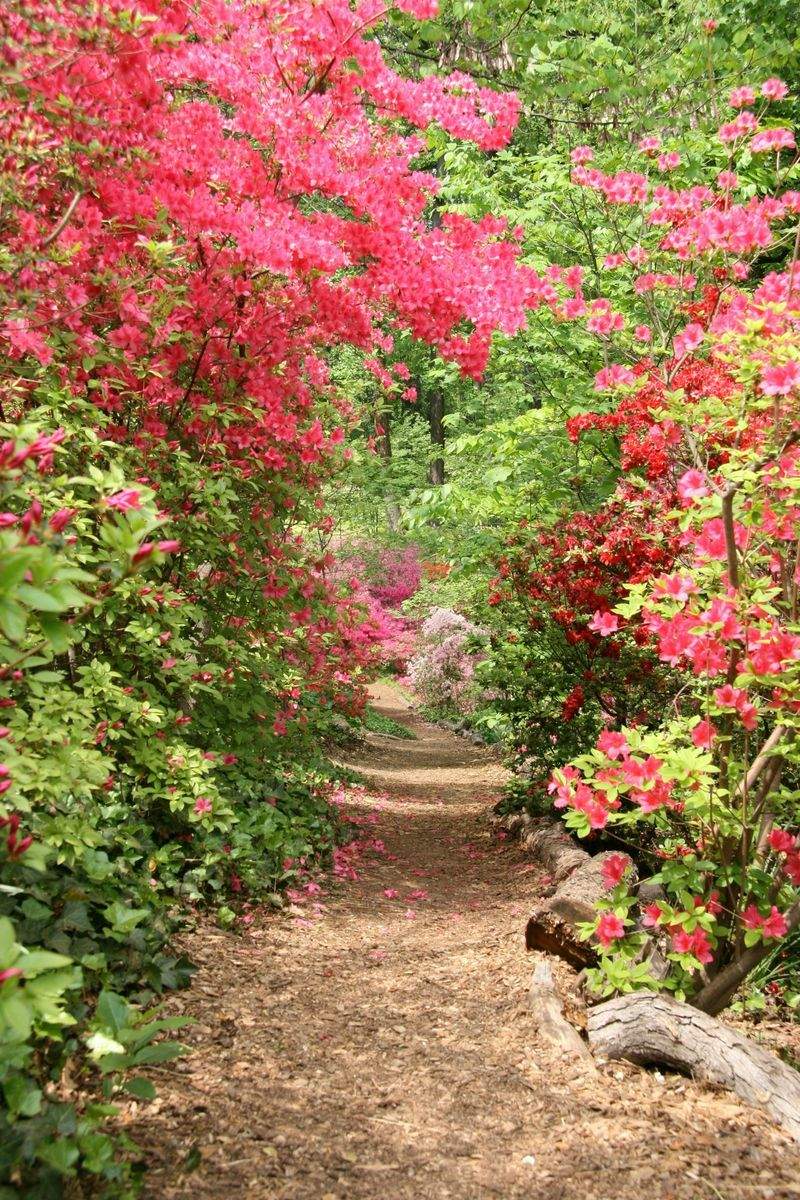 芝張り・芝生管理